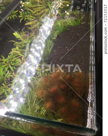 水箱水面 水箱水面 72153317