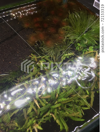 水箱水面 水箱水面 72153319