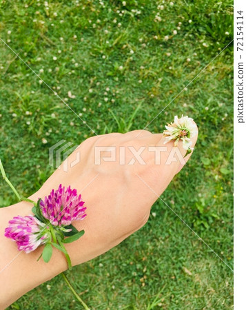 花甲 72154114