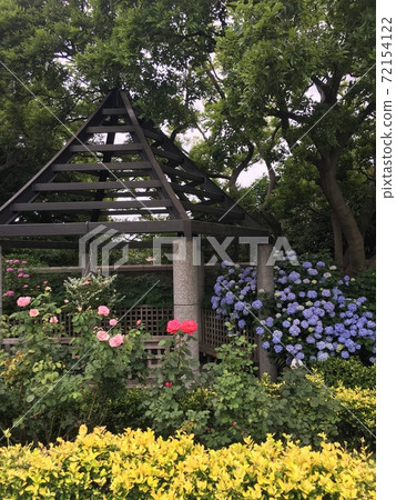 Spring flower Spring flower 72154122