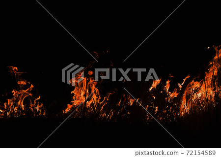 burning dry field burning dry field 72154589