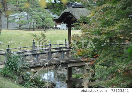 花園 72155241