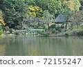 一個池塘 72155247