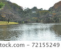 一個池塘 72155249