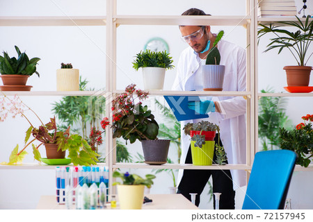 Young male chemist perfumer working in the lab Young male chemist perfumer working in the lab 72157945