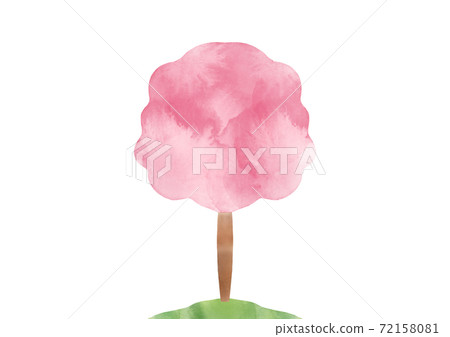 Cherry tree  72158081