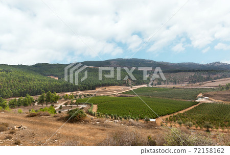 panorama of nature in northern Israel 72158162