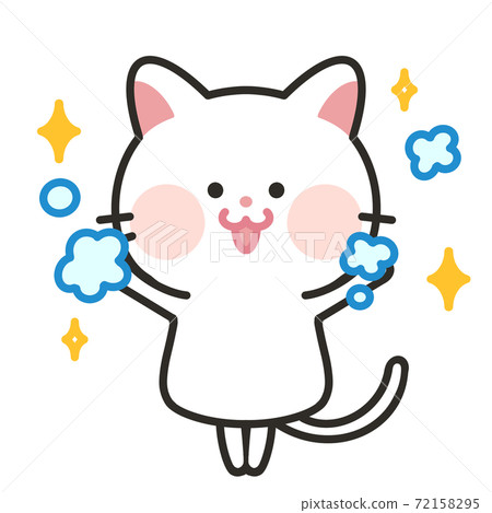 Hand-washing banzai, beautiful cat, hygienic cat 72158295