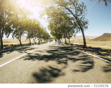 Sunny road with desert and nature around - long asphalt straight way - travel and drive destination concept trees and shadow on the ground Sunny road with desert and nature around - long asphalt straight way - travel and drive destination concept trees and shadow on the ground 72159176