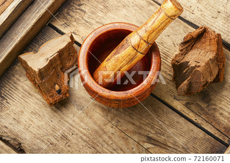 Tinder fungus in herbal medicine 72160071