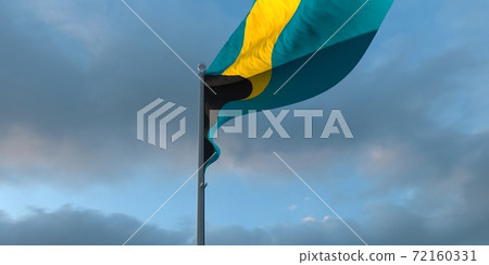 3d rendering of the national flag of the Bahama 72160331