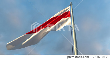 3d rendering of the national flag of the Belarus 72161017