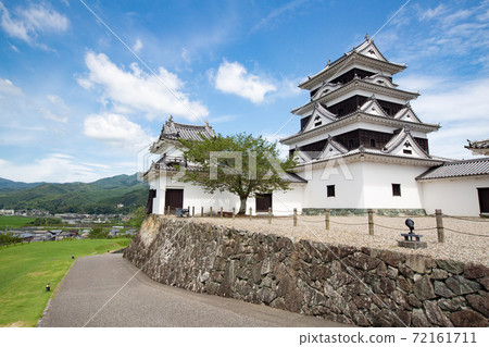 大愛城堡-四重城堡塔,左,右雙砲塔-愛媛縣大須市大須 大愛城堡-四重城堡塔,左,右雙砲塔-愛媛縣大須市大須 72161711