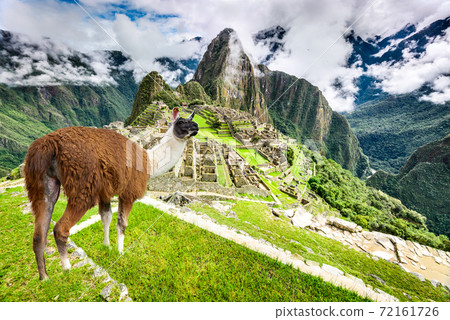 Machu Picchu, Cusco, Peru in South America Machu Picchu, Cusco, Peru in South America 72161726