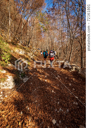 Hikers on a Trail in Autumn - Lessinia Plateau Alps Veneto Italy 72161801
