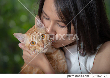 woman holding and kissing orange short haired thai cat woman holding and kissing orange short haired thai cat 72162175