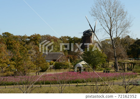 in the 2020 autumn Andersen Park in the 2020 autumn Andersen Park 72162352