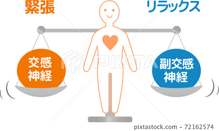 自主神經人體圖副交感神經交感神經 72162574