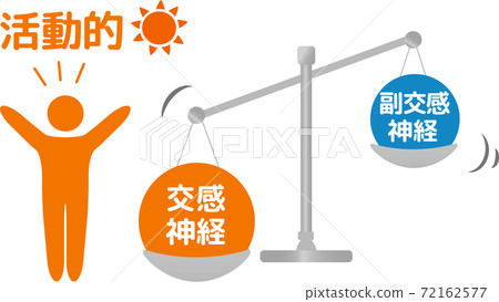 自主神經人體圖副交感神經交感神經 72162577