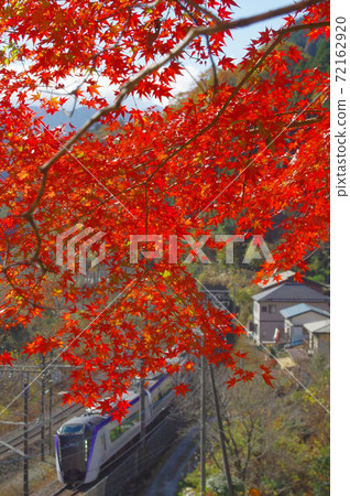 鮮紅色的秋葉和特快列車 鮮紅色的秋葉和特快列車 72162920