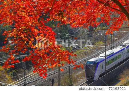 鮮紅色的秋葉和特快列車 鮮紅色的秋葉和特快列車 72162921