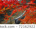 鮮紅色的秋葉和特快列車 72162922