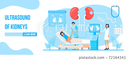Ultrasound of kidneys concept vector. Pyelonephritis, diseases and kidney stones illustration. Doctor research cystitis, urolithiasis, nephropathy, renal failure 72164341