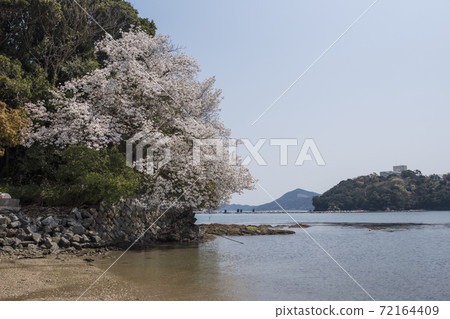 鳥羽溫泉鄉鳥羽海見和櫻花溫泉鎮伊勢志摩觀光景點 照片素材 圖片 圖庫