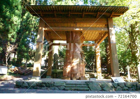 Teno cedar Teno cedar 72164700