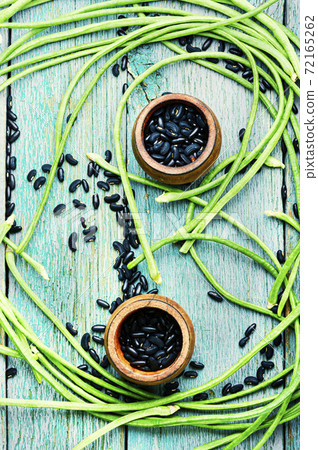 Vigna or asparagus beans Vigna or asparagus beans 72165262