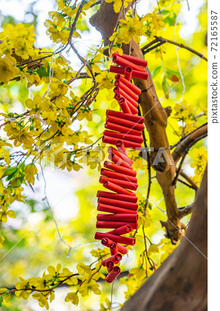 Lunar new year- Firecrackers on yellow apricot 72165587