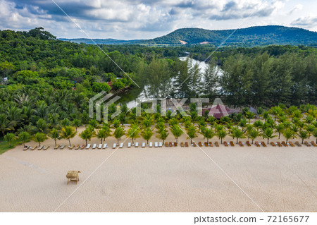 Beautiful aerial landscape of tropical palm trees on beach resort Beautiful aerial landscape of tropical palm trees on beach resort 72165677