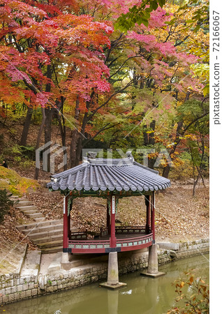 Changdeokgung Palace Outing Changdeokgung Palace Outing 72166067