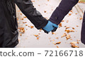 Couple walking hand by hand 72166718