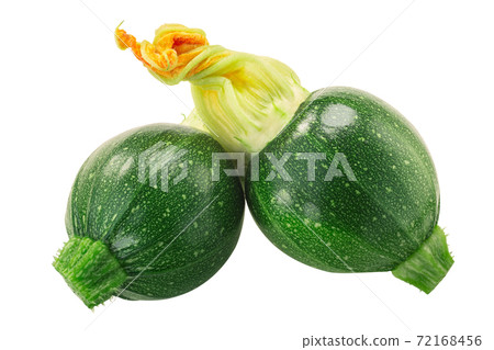 Baby Tondo zucchini with flower  isolated 72168456