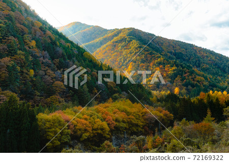 飛H高山上的秋葉 72169322