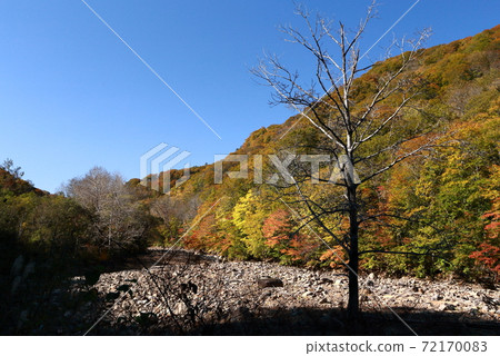 岩手縣Shi石町Katsuneda河上游 岩手縣Shi石町Katsuneda河上游 72170083
