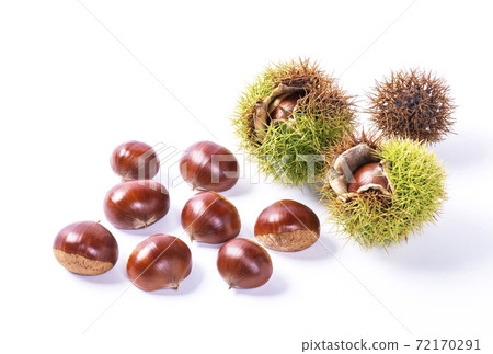 Chestnut autumn taste bamboo image material background material 72170291