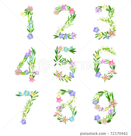 Tender Floral Numbers with Decorative Nature Elements Vector Set Tender Floral Numbers with Decorative Nature Elements Vector Set 72170481