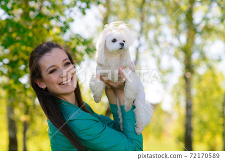Puppy white dog with it's owner. Concept about friendship, animal and freedom. 72170589
