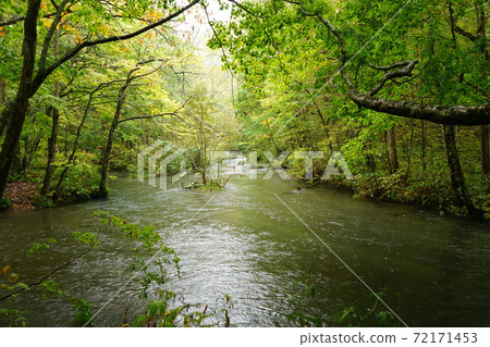 Oirase mountain stream in Aomori prefecture Oirase mountain stream in Aomori prefecture 72171453