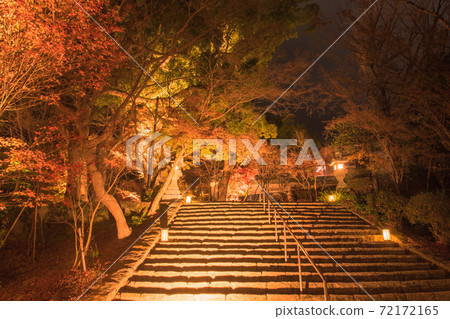 Autumn leaves at Kamado Shrine Illuminated at night [Dazaifu City, Fukuoka Prefecture] 72172165