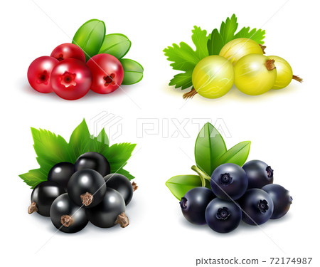 Berry Clusters Realistic Set Berry Clusters Realistic Set 72174987