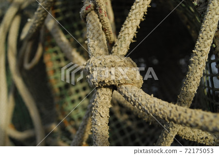 Creels for fishing for shellfish Creels for fishing for shellfish 72175053