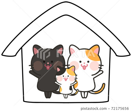 室內貓，家貓，家貓，多頭家庭 72175656