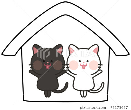 室內貓，家貓，家貓，多頭貓 72175657