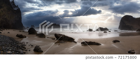 Ecola State Park, Cannon Beach, Oregon, United States 72175800