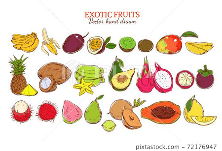 Colored Fresh Natural Exotic Fruits Set Colored Fresh Natural Exotic Fruits Set 72176947