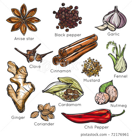 Indian Spices Herbs Icon Set 72176961