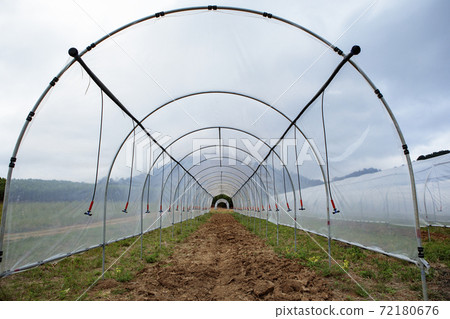 open door  green house for plantation 72180676